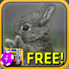 3D Fuzzy Bunny Slots - Free icône