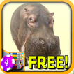 3D Hippo Slots - Free