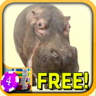 3D Hippo Slots - Free-icoon