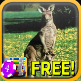 3D Kangaroo Slots - Free icon