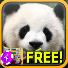 3D Panda Slots - Free Zeichen