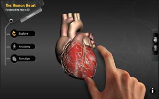 Explore heart in 3D poster