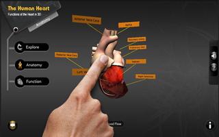 Explore heart in 3D screenshot 1