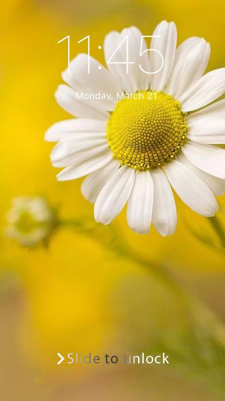 Tįŗ£i xuį»ng APK Daisy Sunflower Wallpaper Phone Lock cho Android Tįŗ£i xuį»ng APK Daisy Sunflower Wallpaper Phone Lock cho Android