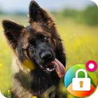 German Shepherd Dog Pattern Lock Screen आइकन