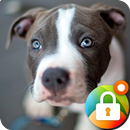 Pitbull Nice Dogs Wallpaper Lock Screen APK