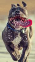 Pitbull Nice Dogs Wallpaper Lock Screen screenshot 3