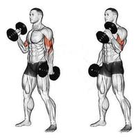 bodybuilding and fitness tutorial ภาพหน้าจอ 2