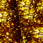 dark gold wallpaper free ícone