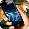X-ray Dog Simulator
