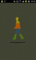 Pedometer - Walk Step Counter captura de pantalla 1