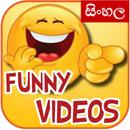 Funny සිංහල Videos.. - (Funny Sinhala Videos..) APK