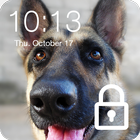 German Shepherd Wallpaper Dogs PIN Lock Screen icône