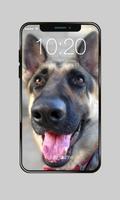 German Shepherd Wallpaper Dogs PIN Lock Screen Affiche