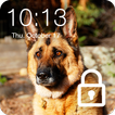 German Shepherd Faithful Dog Lock Screen Password