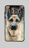 German Shepherd Faithful Dog Lock Screen Password plakat