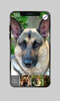 German Shepherd Faithful Dog Lock Screen Password 截圖 2