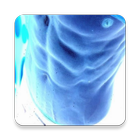 Sixpack Home .Free icon