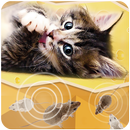 Cat Games, Mouse APK