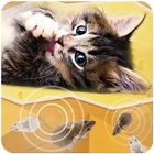 猫游戏，老鼠 圖標