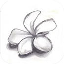 鉛筆草圖 APK
