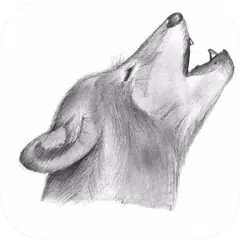 Sketch Pencil Designs APK download