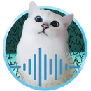 Cat translator, Simulator APK