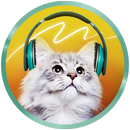 Translator for the cat. Simulator APK