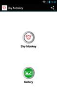 Sky Monkey 海报