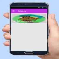 Sky Ball Wallpapers captura de pantalla 2