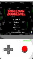Snakeman Dodgeball poster