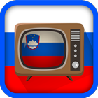 Watch Slovenia Channels TV icône