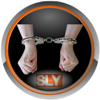 Sly Bail Bonds Bedford Muni أيقونة