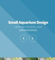 Petit Aquarium design Affiche