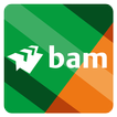 BAM VR