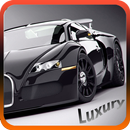 Luxury Car Driving Simulator APK