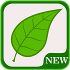 New Guide Snapseed 2018 أيقونة