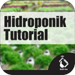 Hidroponik Tutorial