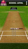 Blind Cricket capture d'écran 1