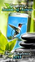 Sounds of Nature Ringtones Free 🌴 Beautiful Tunes ảnh chụp màn hình 3