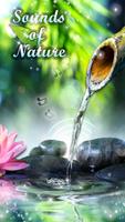 Sounds of Nature Ringtones Free 🌴 Beautiful Tunes bài đăng