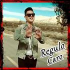 Regulo Caro Musica 아이콘