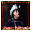 Remmy Valenzuela - Loco Enamorado APK