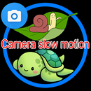 Slow motion reverse video APK