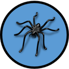 Prolifics SpiderApp Mobile icono