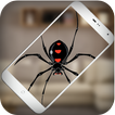 Spider On Hand: Simulator