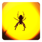 Araña Fondo Animado icono