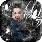 クモの網フォトフレーム効果 アイコン