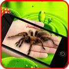 Spider on hand Camera Prank icon