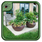 Modern Garden Pots Design Ideas آئیکن